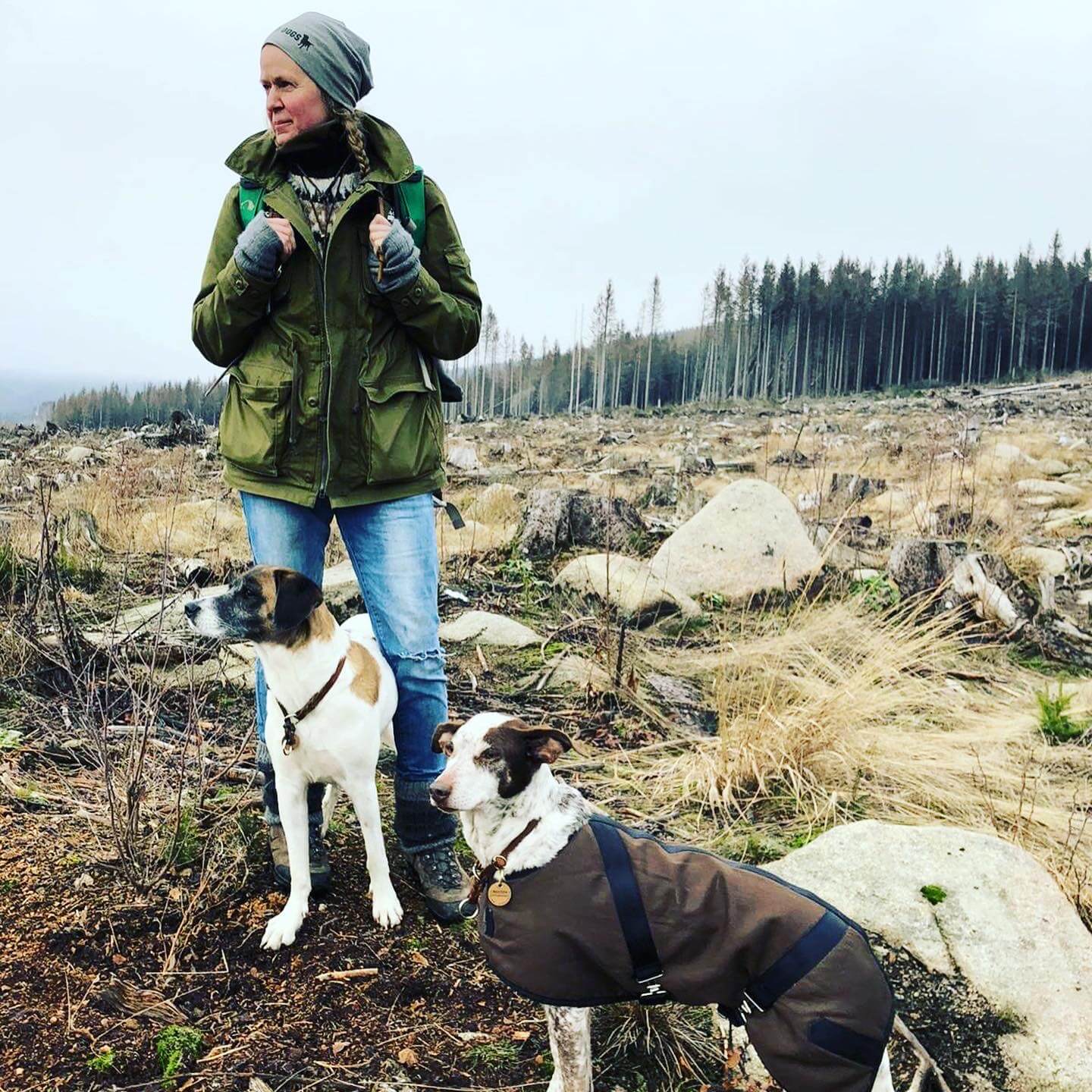 Wandern mit Hund Eingenordet