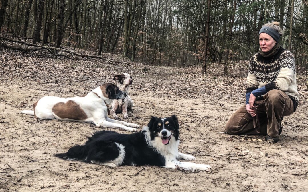 Wandern mit Hund