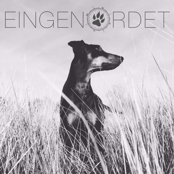 "Balljunkie" Ball spielen mit dem Hund Eingenordet